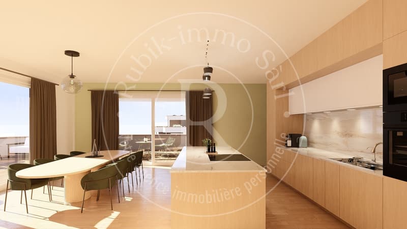 Magnifiques attiques 5,5 pièces de 162m² et terrasse de 153m² (7)