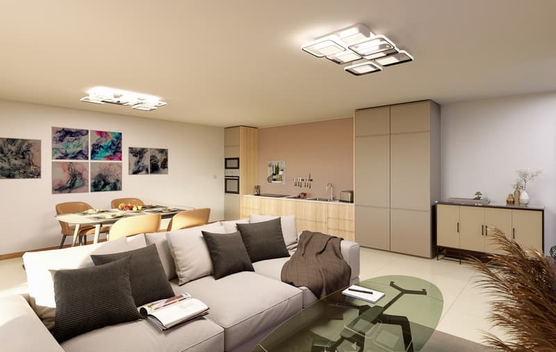 2.5 rooms 5 minutes from Bulle - Building permit issued (3)