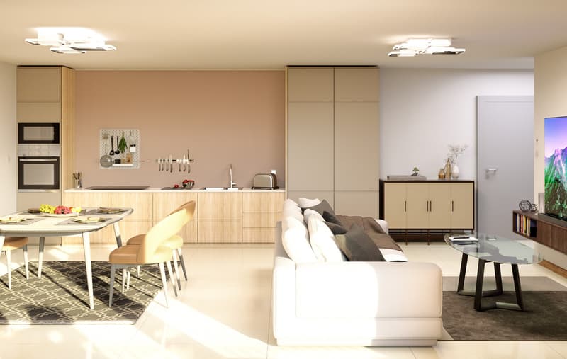 2.5 rooms 5 minutes from Bulle - Building permit issued (4)