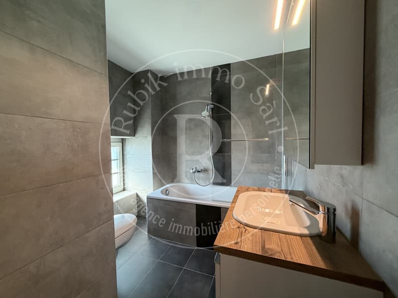 Duplex de charme en seins d'une ferme entièrement rénovée (8)