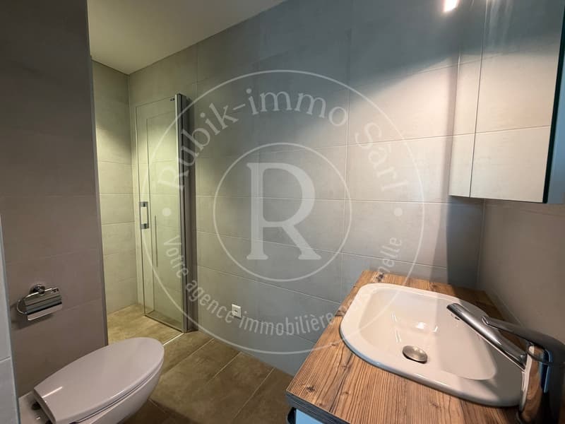 Duplex de charme en seins d'une ferme entièrement rénovée (13)