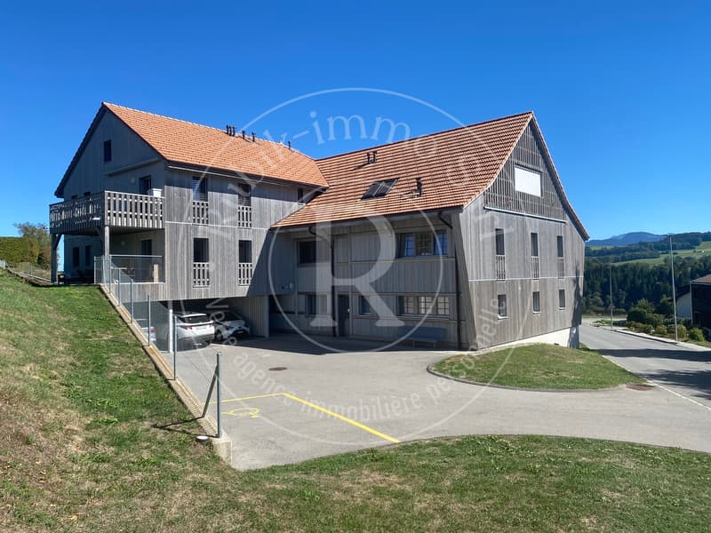 Coup de coeur à Autigny - Duplex 5,5 pièces, 153 m² + terrasse de 22 m² (3)