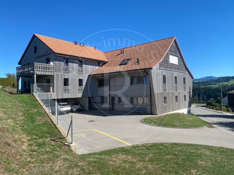 Coup de coeur à Autigny - Duplex 5,5 pièces, 153 m² + terrasse de 22 m² (3)