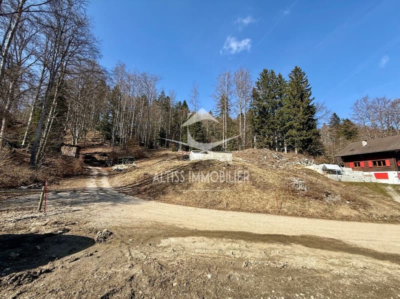 Duplex mit 5,5 Zimmern (13)