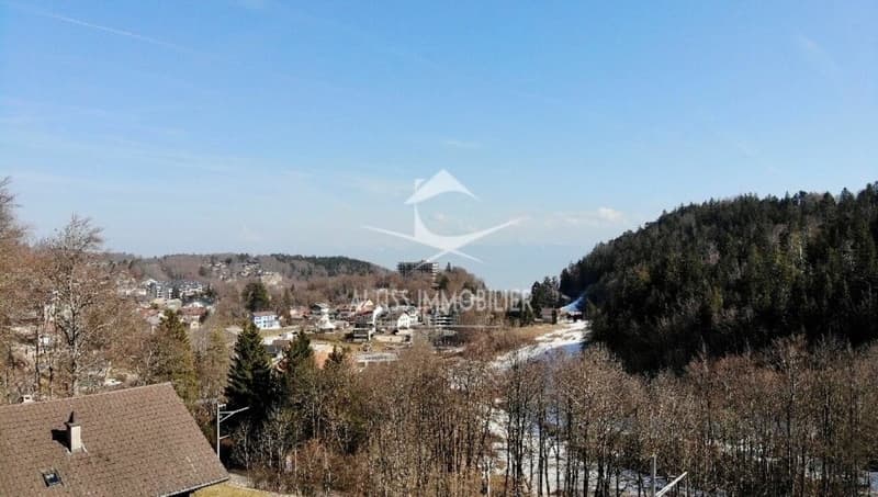 Duplex mit 5,5 Zimmern (7)