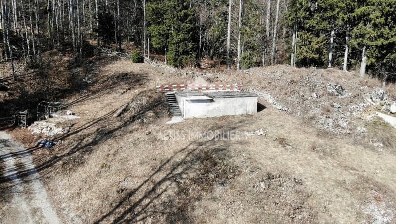 Duplex mit 5,5 Zimmern (11)