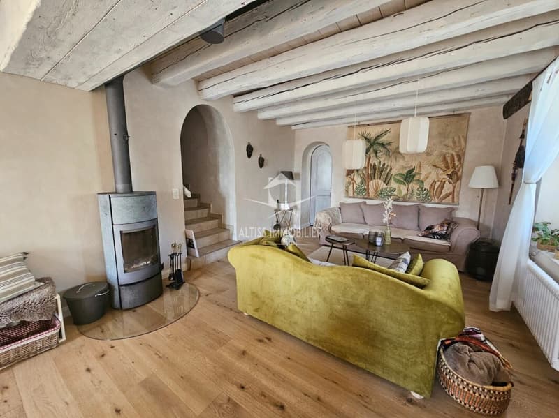 Casa affascinante completamente ristrutturata (10)