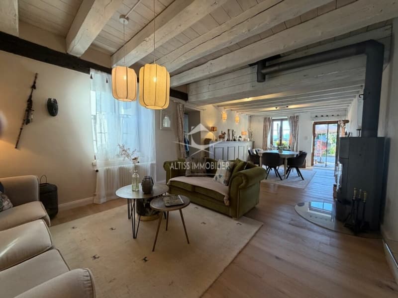 Casa affascinante completamente ristrutturata (9)