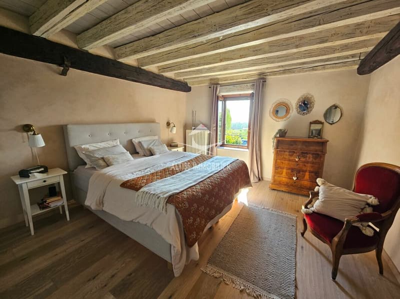 Fully renovated charming house (13)
