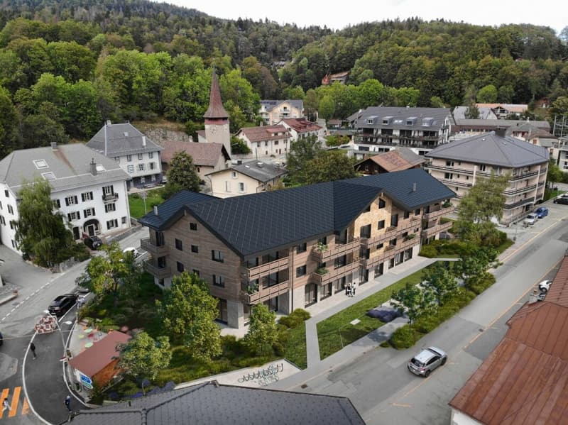 Superbe appartement neuf de 4,5 pièces (6)