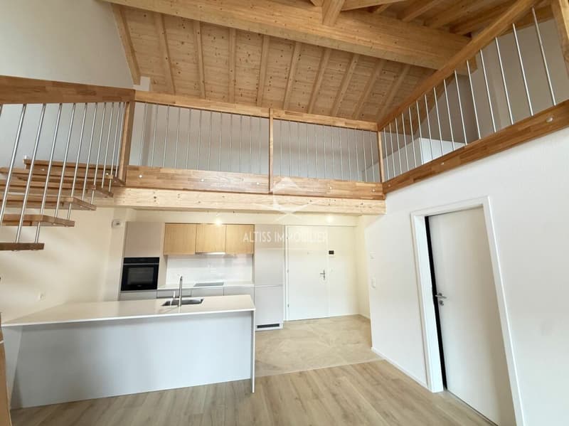 Attique 3,5 pièces neuf, belle mezzanine. (3)