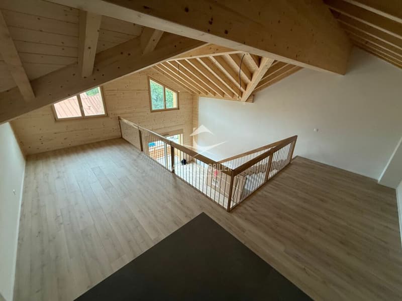 Attique 3,5 pièces neuf, belle mezzanine. (11)
