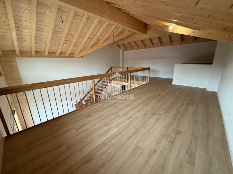 Attique 3,5 pièces neuf, belle mezzanine. (11)