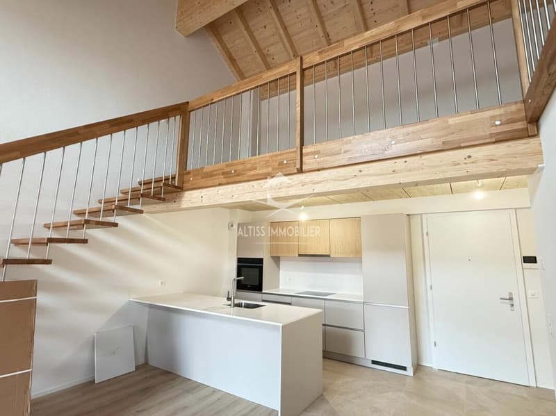 Attique 3,5 pièces neuf, belle mezzanine. (3)