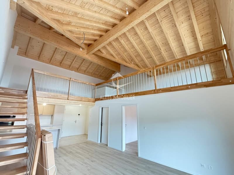 Attique 3,5 pièces neuf, belle mezzanine. (2)
