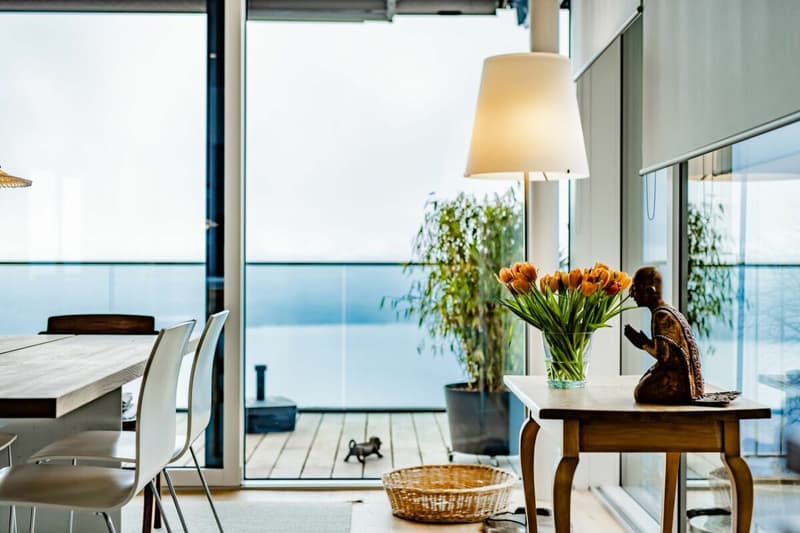 VILLAS BELVÉDÈRE - APPARTAMENTO DI 4,5 LOCALI CON VISTA UNICA SUL LAGO (10)