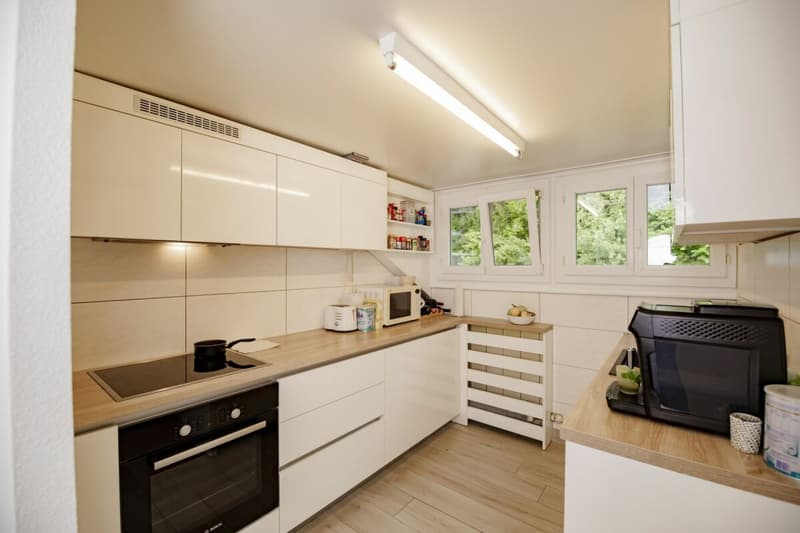 Rental Building "Les Hortensias" (5)