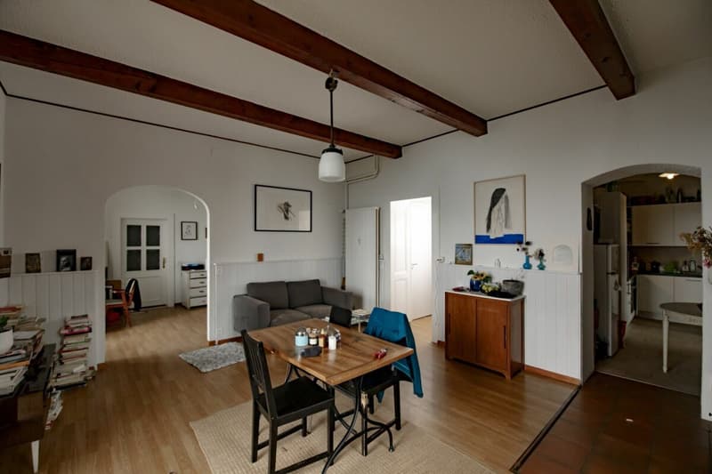 Rental Building "Les Hortensias" (6)
