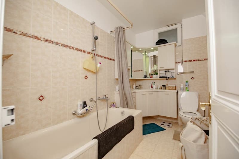 Rental Building "Les Hortensias" (8)