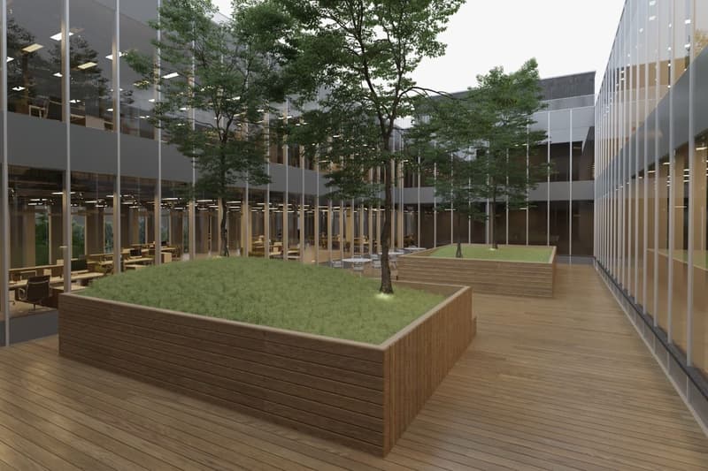 Your new mixed surfaces in the heart of the Zimeysa area (2)