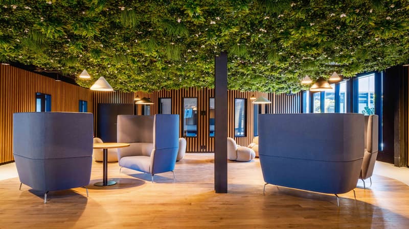 Mixed surfaces at the heart of the BEEZI concept (7)