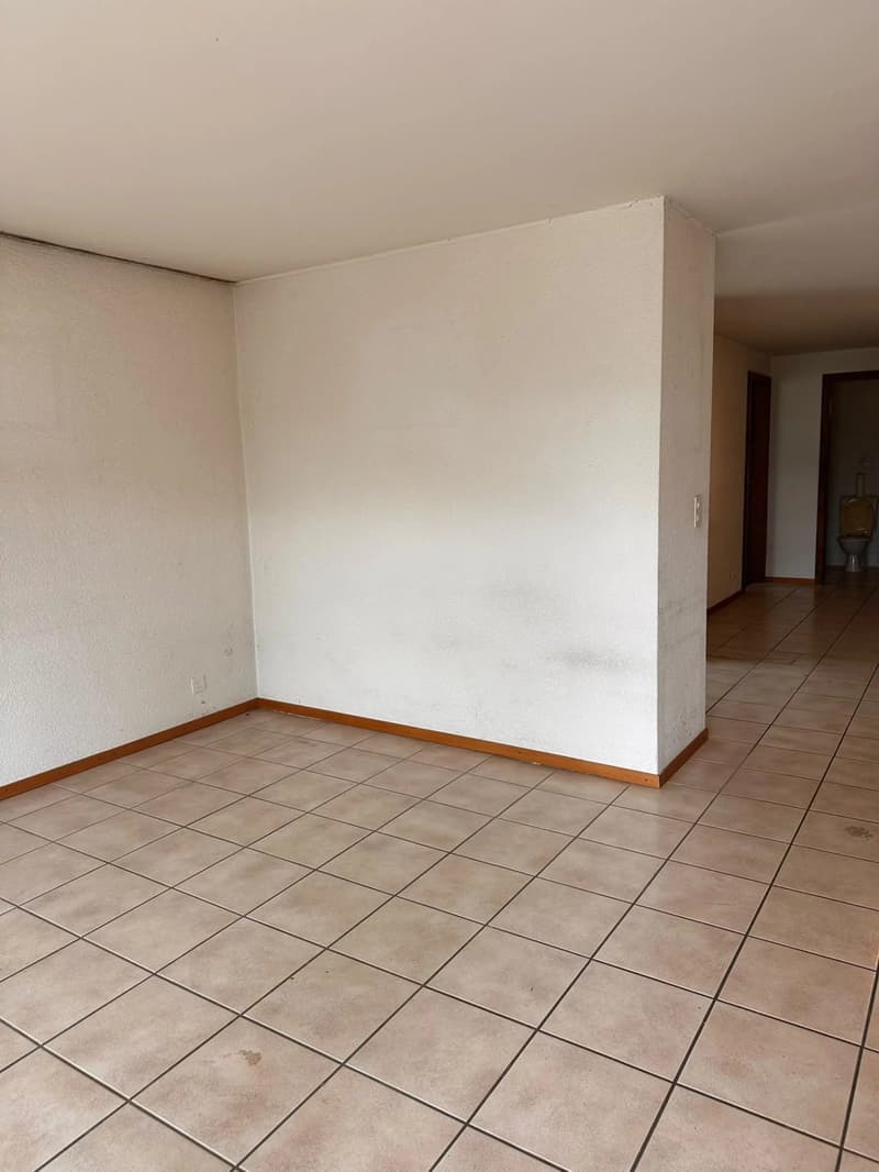 Vétroz - Large 2.5-room apartment to renovate - South-West balcony - Quiet location (7)