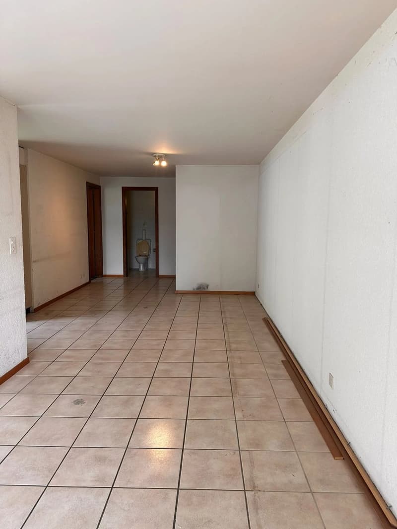Vétroz - Large 2.5-room apartment to renovate - South-West balcony - Quiet location (9)