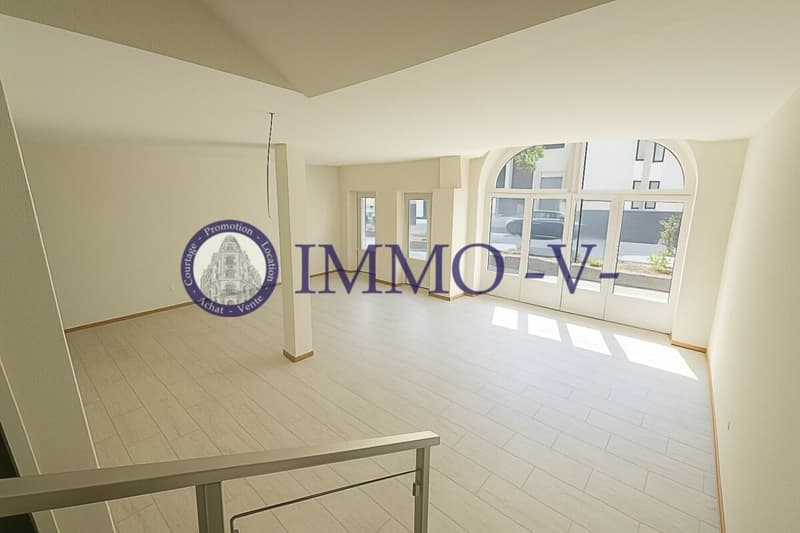 Renovated in the heart of Collombey (2)