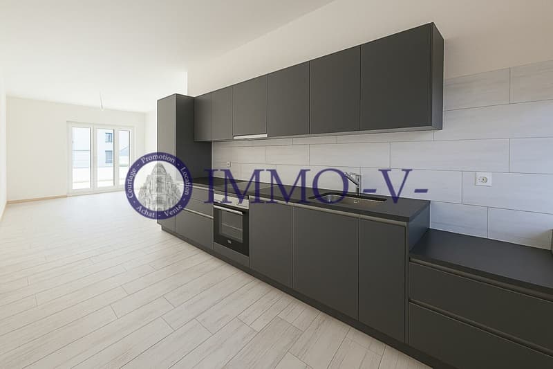Renovated in the heart of Collombey (1)