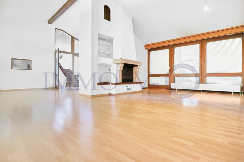 Spacious Villa with Large Idyllic Garden (2)