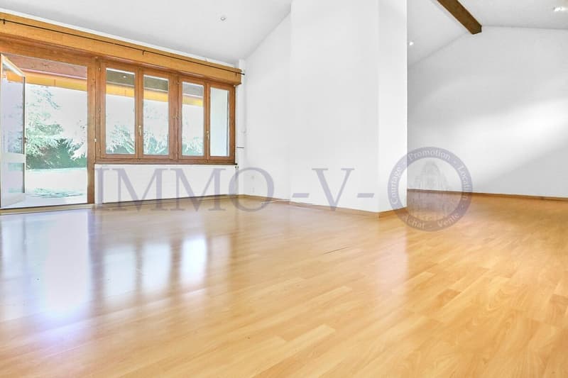 Spacious Villa with Large Idyllic Garden (3)