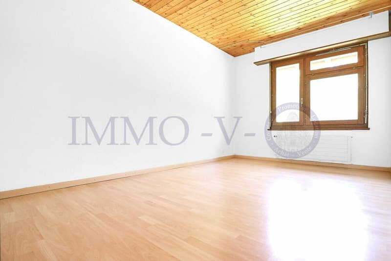 Spacious Villa with Large Idyllic Garden (9)