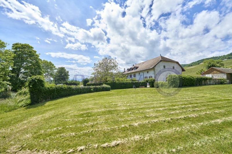 UPSCALE DUPLEX WITH BEAUTIFUL VOLUME (10)