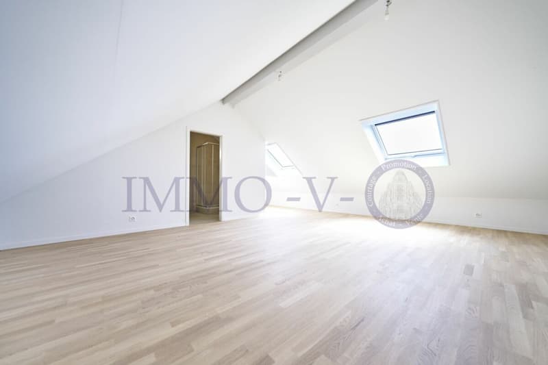 UPSCALE DUPLEX WITH BEAUTIFUL VOLUME (4)