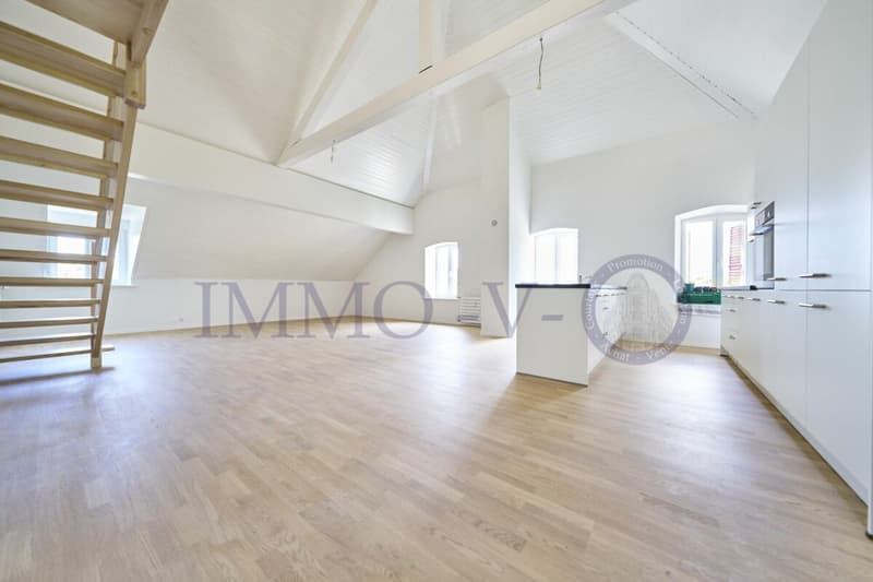 UPSCALE DUPLEX WITH BEAUTIFUL VOLUME (2)