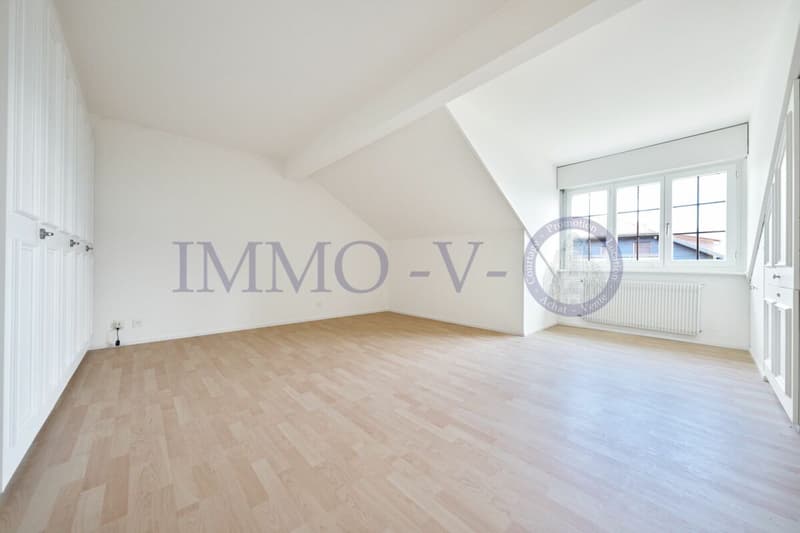 Spacious and renovated with character and balcony-terrace with lake view (7)