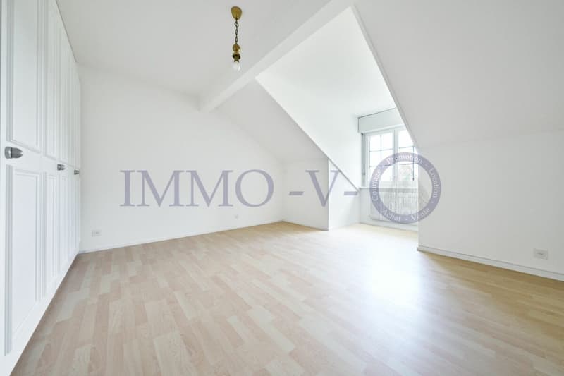 Spacious and renovated with character and balcony-terrace with lake view (8)