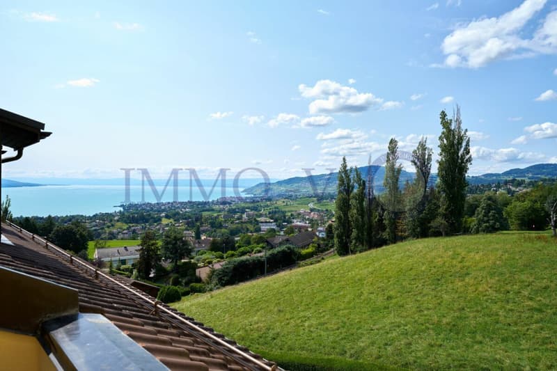 Spacious and renovated with character and balcony-terrace with lake view (1)