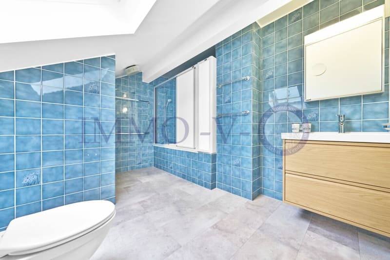 Spacious and renovated with character and balcony-terrace with lake view (9)