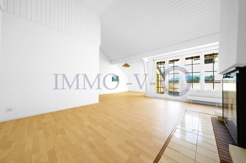 Spacious and renovated with character and balcony-terrace with lake view (4)