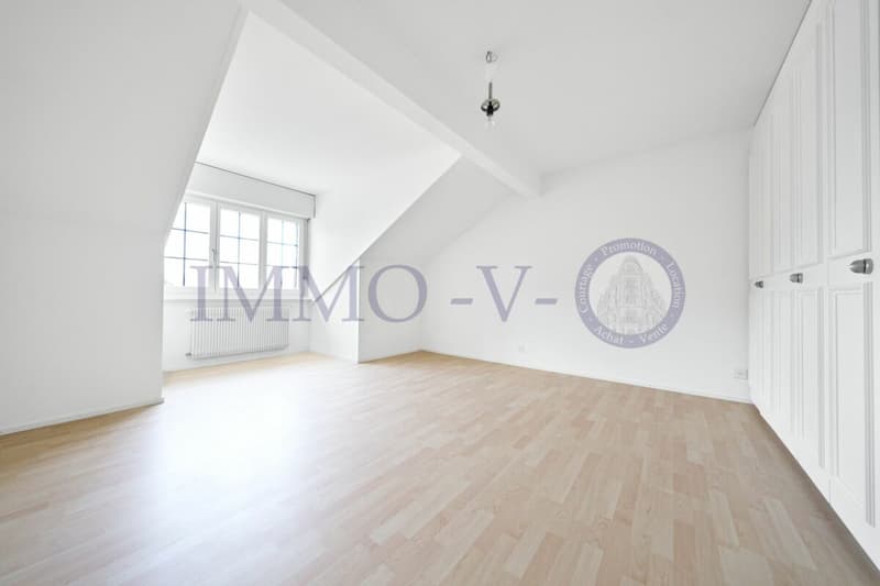 Spacious and renovated with character and balcony-terrace with lake view (6)