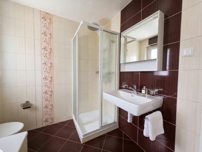 Dream come true: Magnificent 3.5 rooms fully renovated with city view (7)