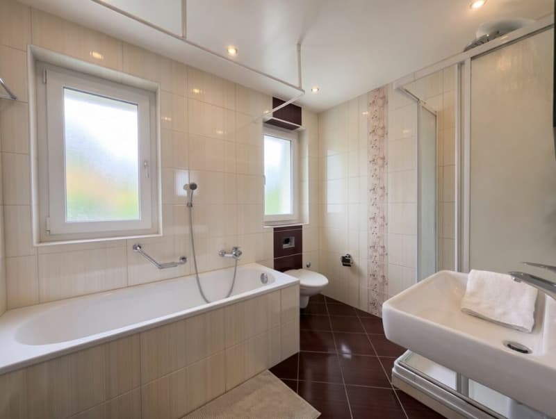 Dream come true: Magnificent 3.5 rooms fully renovated with city view (6)