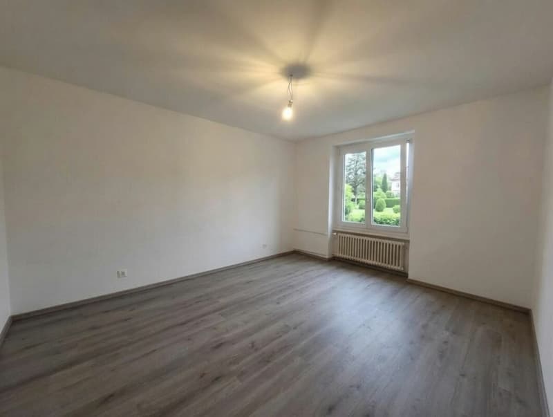Prächtige 2,5-Zimmer-Wohnung komplett renoviert mit Balkon (3)