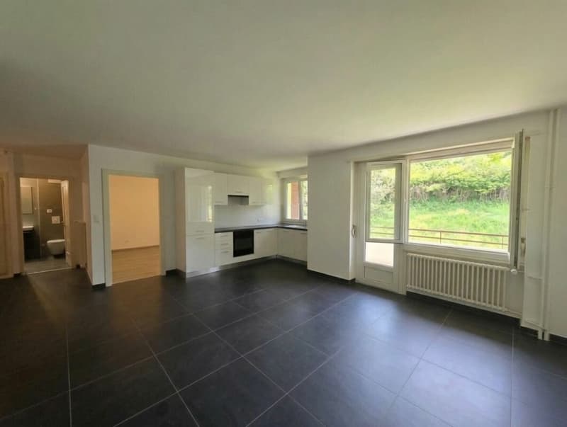 Prächtige 2,5-Zimmer-Wohnung komplett renoviert mit Balkon (2)