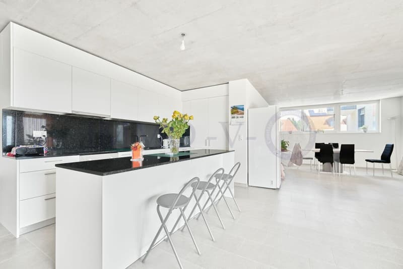 NEU UND ZEITGENÖSSISCH HOHER WERT MIT BALCON-TERRASSE (3)