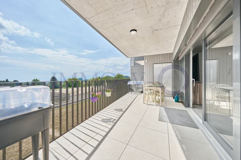 NEU UND ZEITGENÖSSISCH HOHER WERT MIT BALCON-TERRASSE (1)