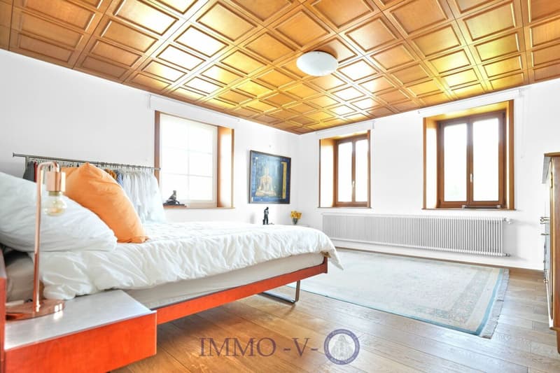 EXCLUSIVE WITH BEAUTIFUL VOLUME AND PANORAMIC VIEW OF THE JURA (7)