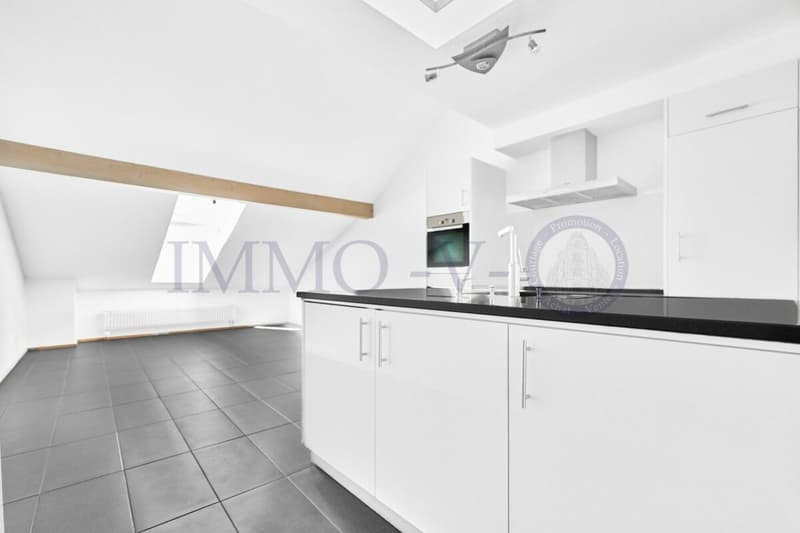 SPACIOUS RENOVATED DUPLEX WITH CHARACTER (6)