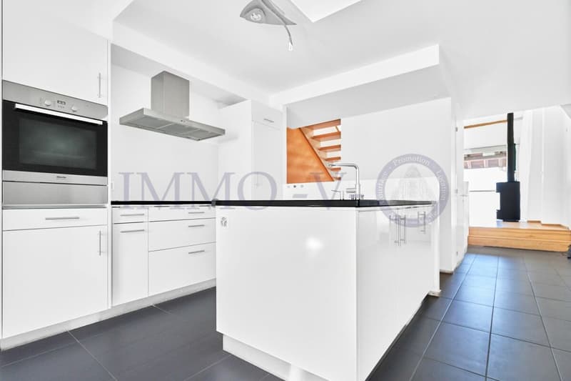 SPACIOUS RENOVATED DUPLEX WITH CHARACTER (5)